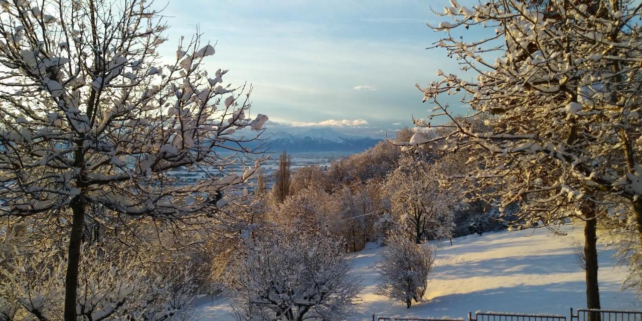L'Albore Costigliole Saluzzo Екстер'єр фото